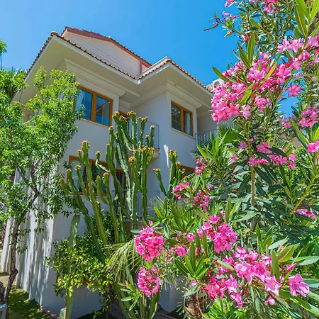 Hotel Dream Of Oludeniz