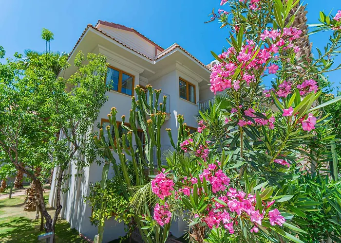 Отель Dream Of Oludeniz