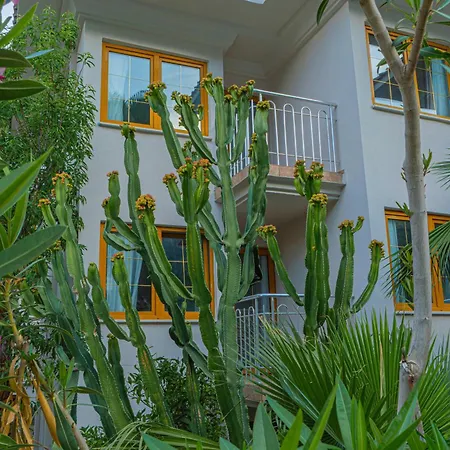 Dream Of Oludeniz Φετιγιέ